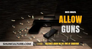 Brazil's Gun Laws: Understanding Ownership, Restrictions, and Public Safety