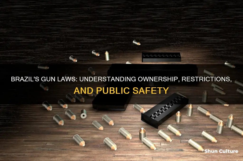 does brazil allow guns