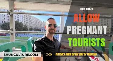 Pregnant Travelers to Brazil: Entry Rules and Health Considerations