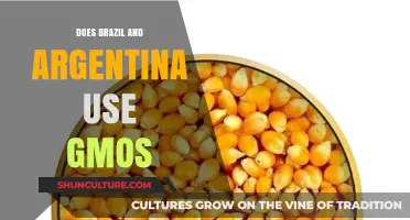 GMO Use in Brazil and Argentina: Facts and Controversies
