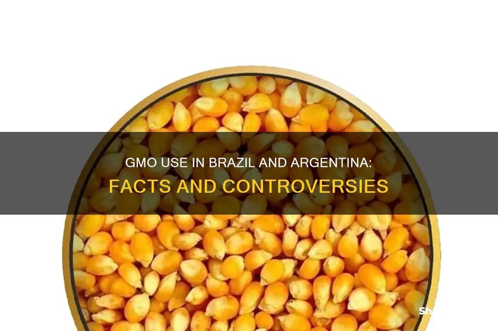 does brazil and argentina use gmos