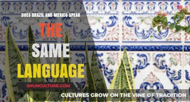Do Brazil and Mexico Share a Language? Exploring Portuguese and Spanish