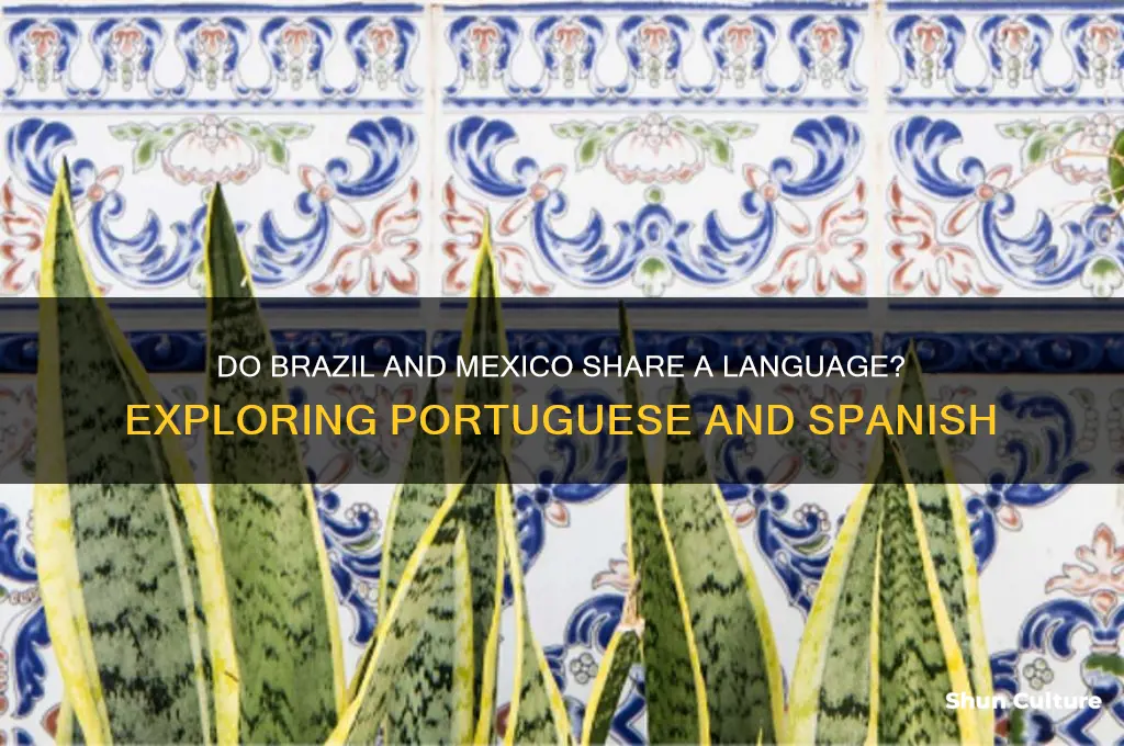does brazil and mexico speak the same language