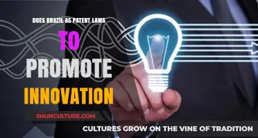 Brazil's Patent Laws: Fostering Innovation or Hindering Progress?