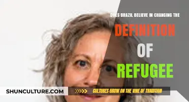 Brazil's Stance: Redefining Refugee Status Amid Global Migration Shifts