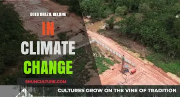 Brazil's Climate Change Beliefs: Public Opinion and Policy Perspectives