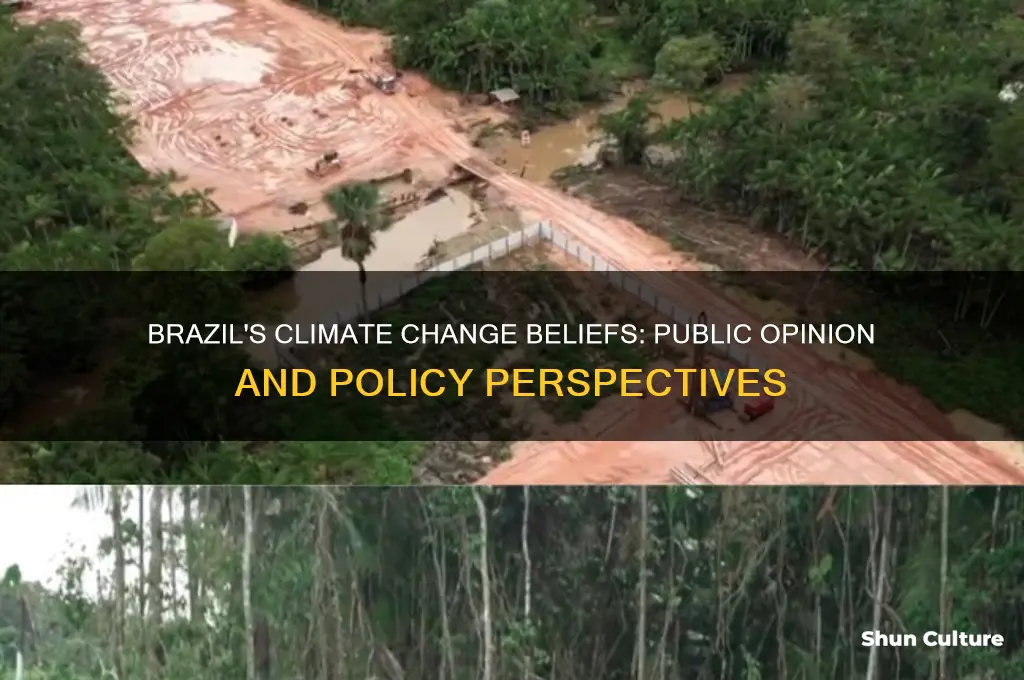does brazil believe in climate change