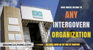 Brazil's Global Engagement: Membership in Intergovernmental Organizations Explored