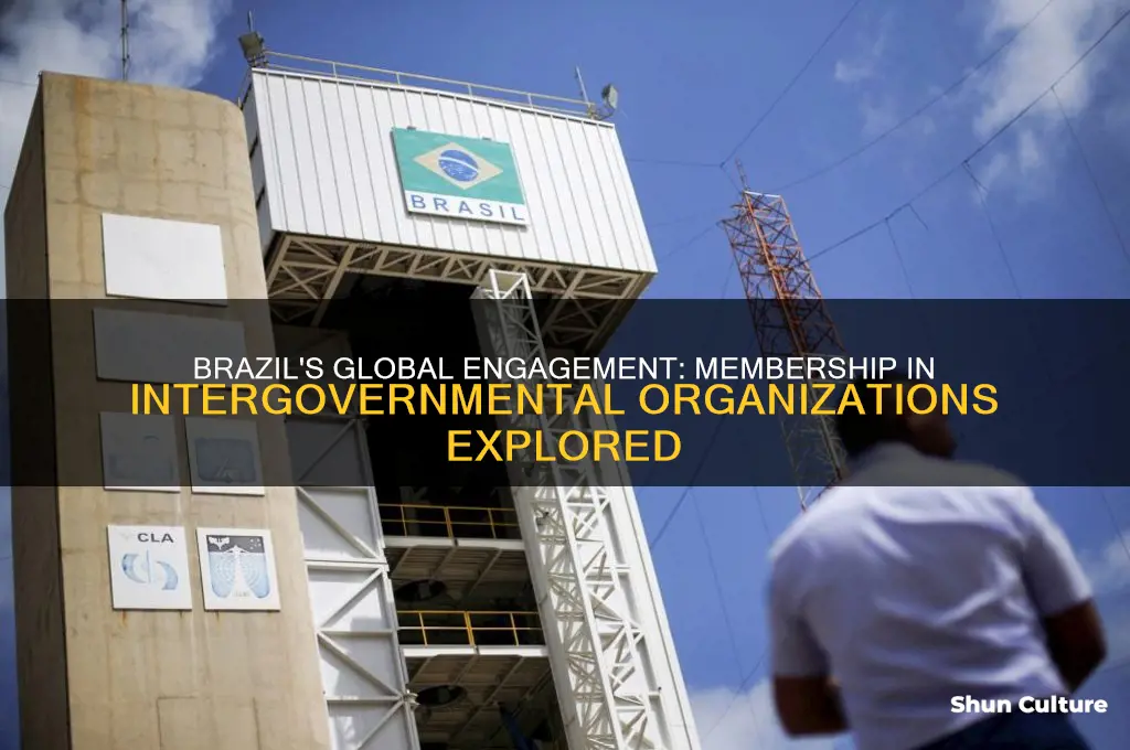 does brazil belong to any intergovernmental organizations