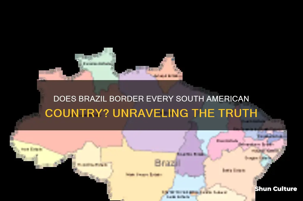 does brazil border every country in south america