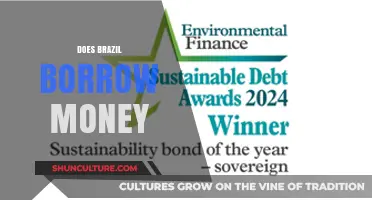 Does Brazil Borrow Money? Exploring National Debt and Financial Strategies