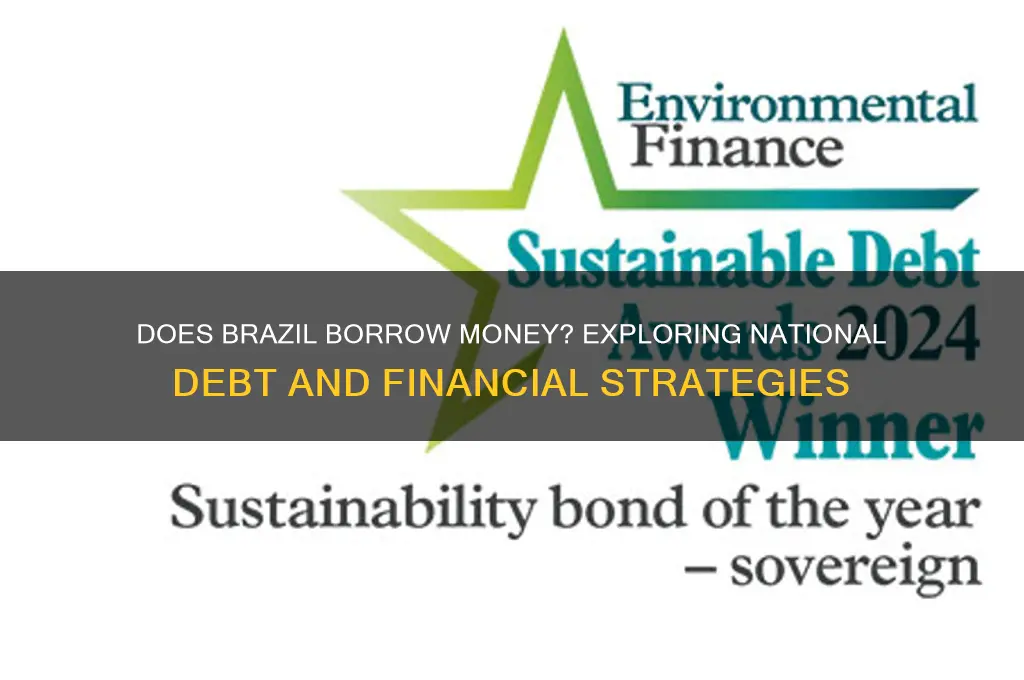 does brazil borrow money