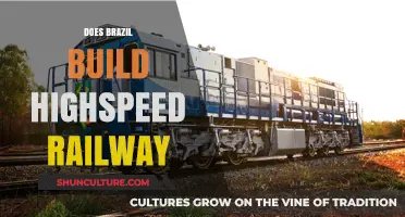 Brazil's High-Speed Railway Plans: Progress, Challenges, and Future Prospects