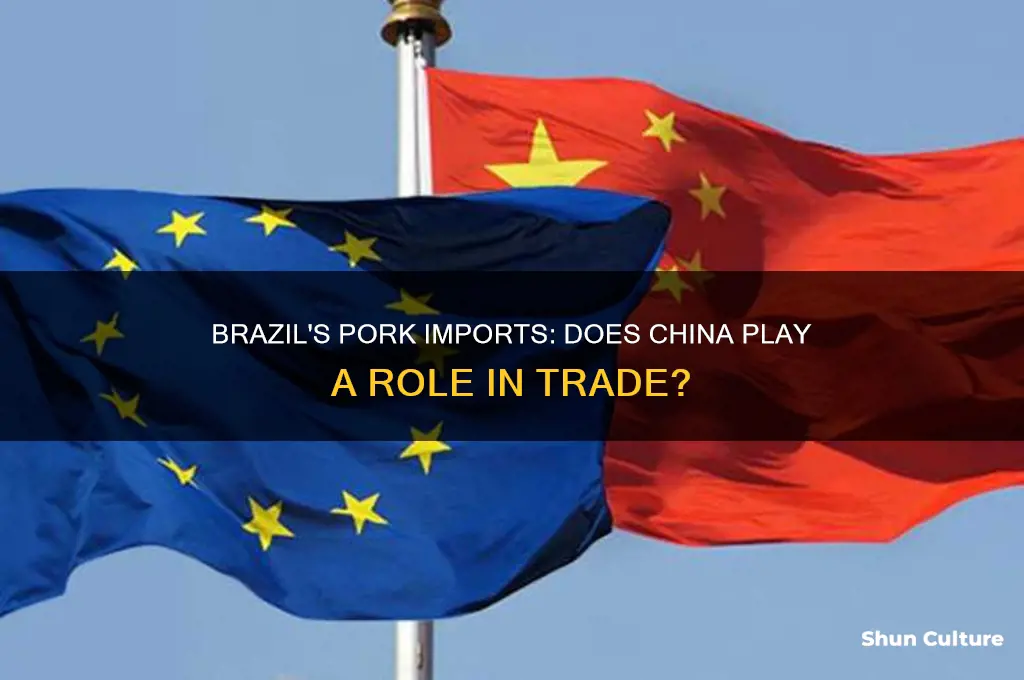 does brazil buy pork from china