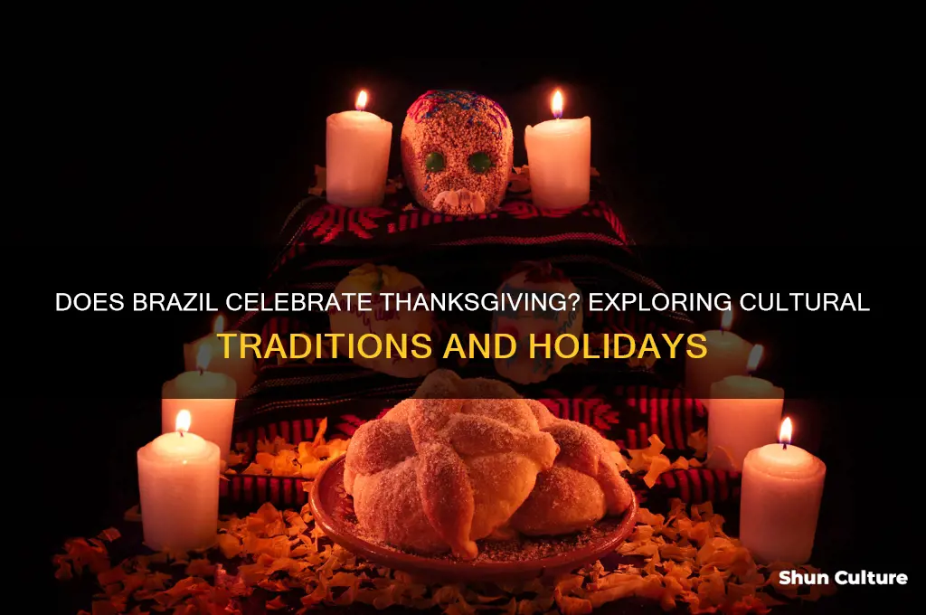 does brazil celebrate thanksgiving