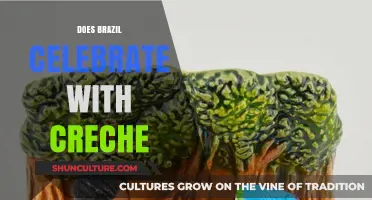 Brazil's Festive Traditions: Creche Celebrations Explained and Explored