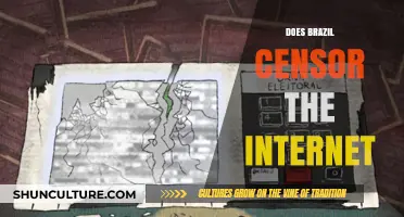 Brazil's Internet Censorship: Fact or Fiction? Exploring Online Freedom Limits