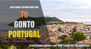 Brazil to Portugal: Visa Requirements for Brazilian Citizens Explained