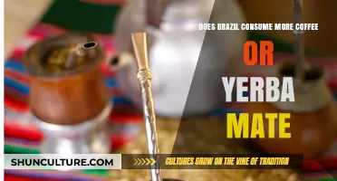 Brazil's Beverage Battle: Coffee vs. Yerba Mate Consumption Compared
