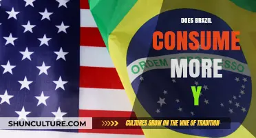 Brazil's Y Consumption: Uncovering the Surprising Trends and Insights