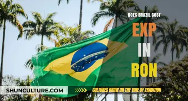 Is Brazil Expensive? Exploring Costs in Brazilian Real (BRL)