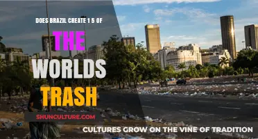 Brazil's Waste Crisis: Unveiling Its Global Trash Contribution