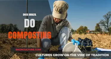 Brazil's Composting Practices: A Sustainable Waste Management Approach?