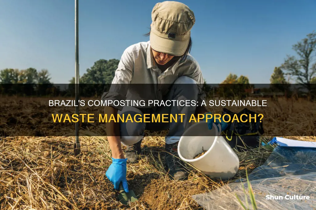 does brazil do composting