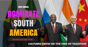 Brazil's Influence: Does It Dominate South America's Politics and Economy?