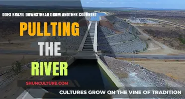 Brazil's Water Dependency: Downstream Impact of Upstream River Diversion