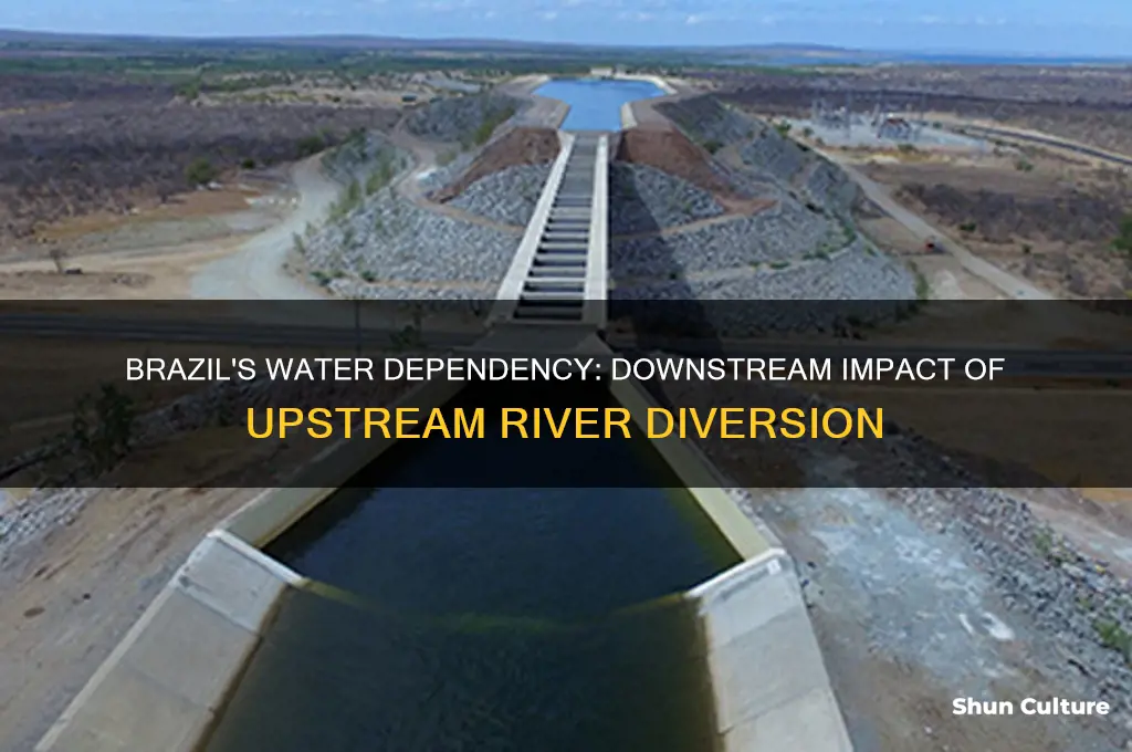 does brazil downstrean drom another coubntrt pullting the river