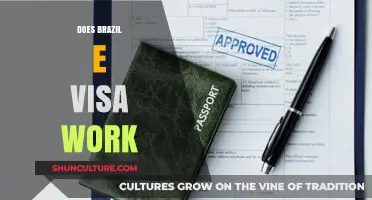 Does Brazil e-Visa Work? A Comprehensive Guide for Travelers
