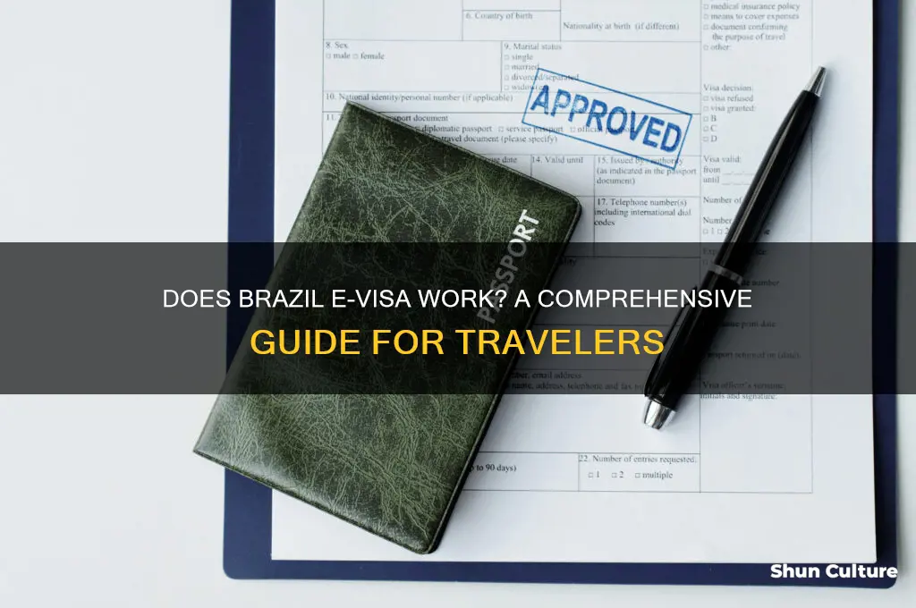 does brazil e visa work
