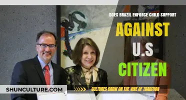 Brazil's Child Support Enforcement: Implications for U.S. Citizens Abroad