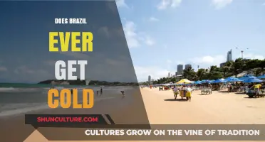 Does Brazil Ever Get Cold? Exploring Its Climate Beyond the Tropics