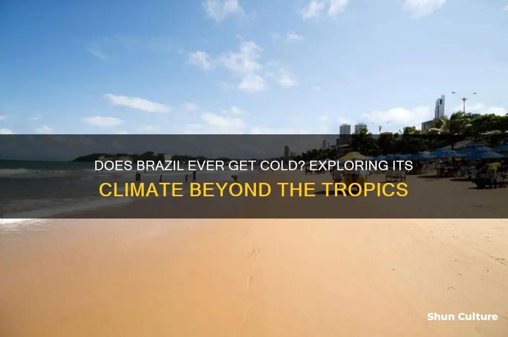 does brazil ever get cold