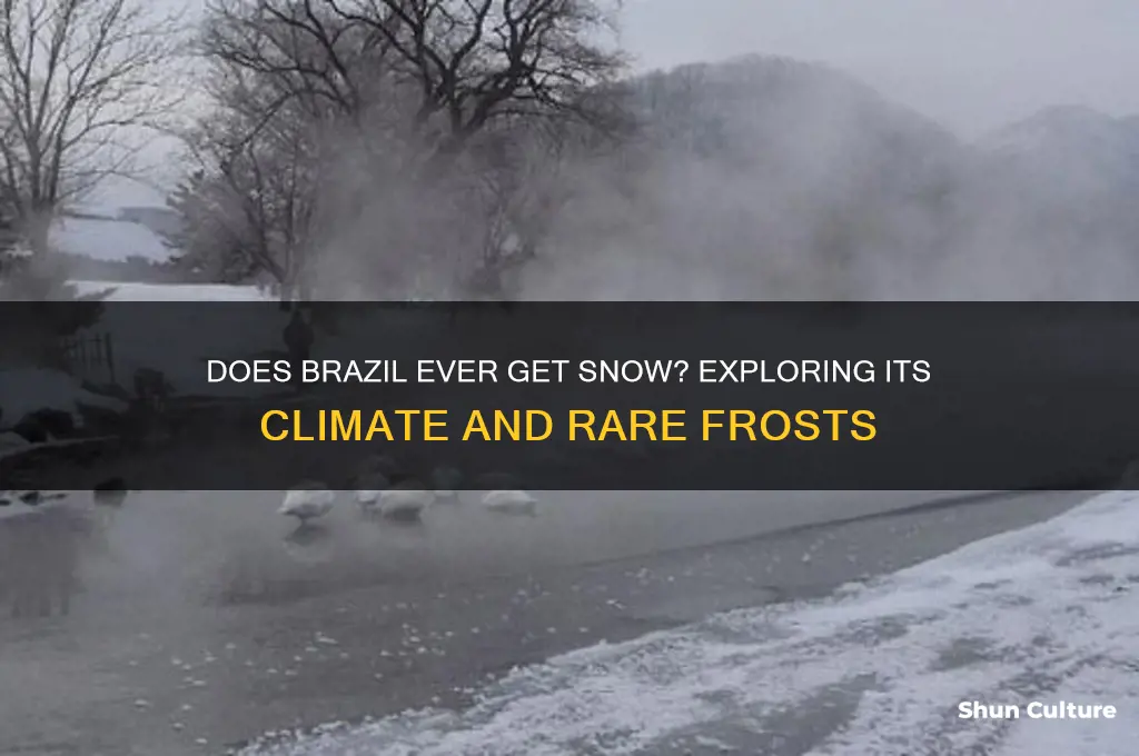 does brazil ever get snow