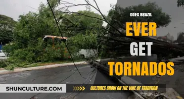 Do Tornadoes Hit Brazil? Exploring South America's Stormy Secrets