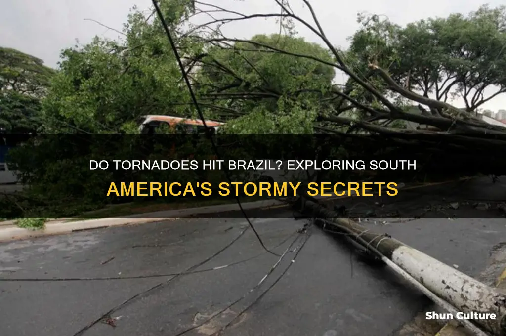 does brazil ever get tornados
