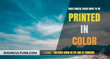 Does Brazil eVisa Need Color Printing? Essential Travel Document Tips