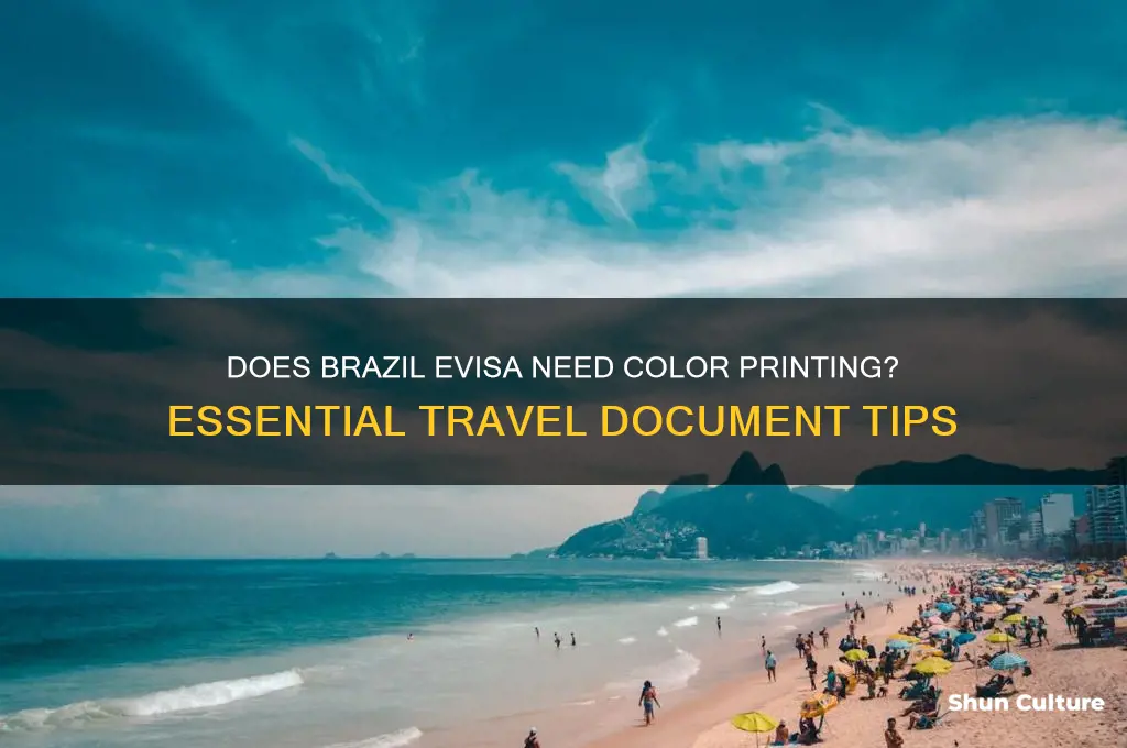does brazil evisa have to be printed in color