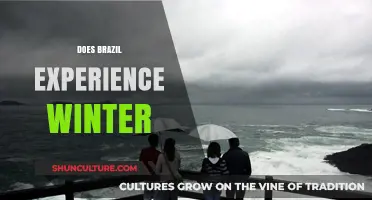 Does Brazil Experience Winter? Exploring the Tropical Climate's Seasonal Shifts