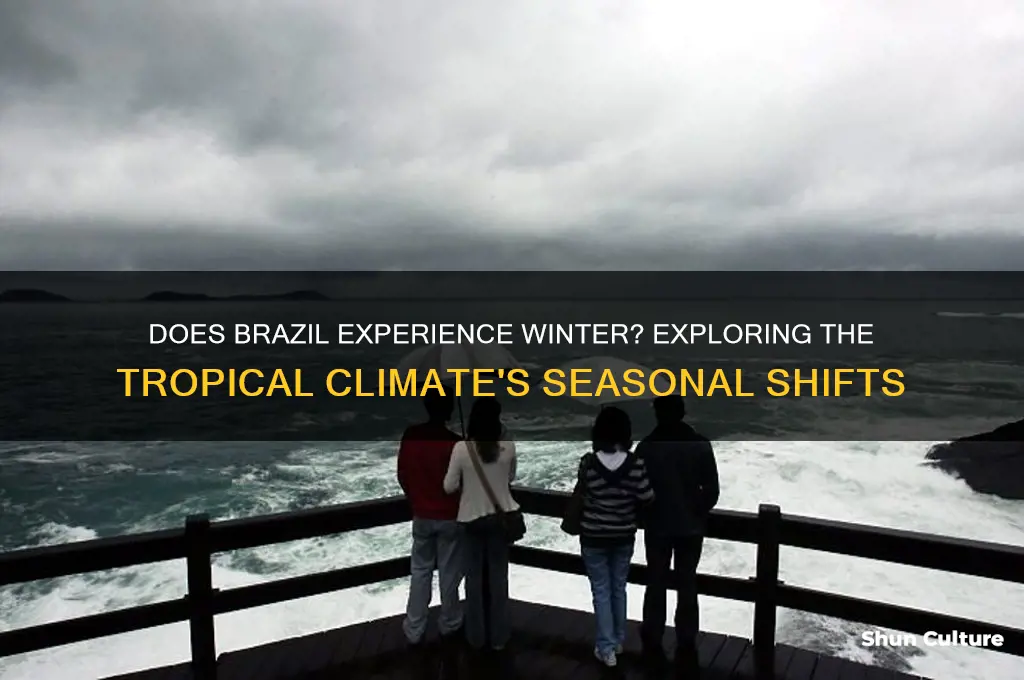 does brazil experience winter