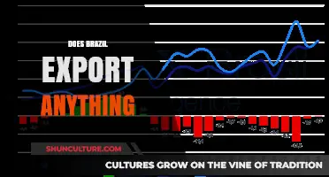 Brazil's Global Trade: Unveiling the Country's Top Exports and Impact