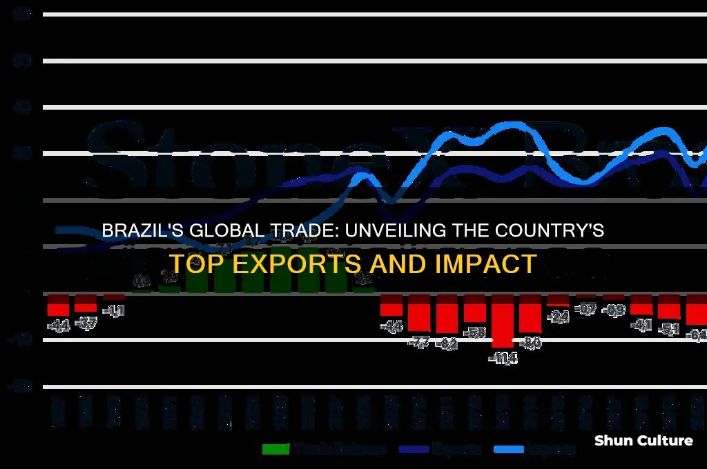 does brazil export anything
