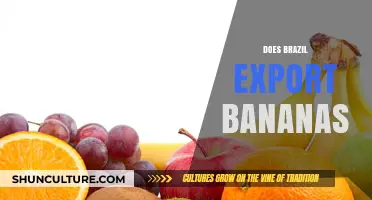 Brazil's Banana Exports: A Global Trade Overview and Insights