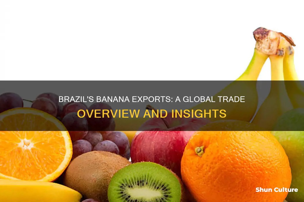 does brazil export bananas