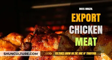 Brazil's Chicken Meat Exports: A Global Leader in Poultry Trade