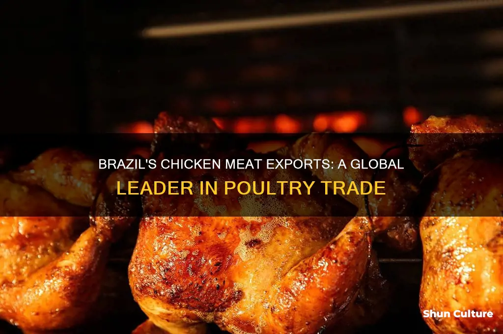 does brazil export chicken meat