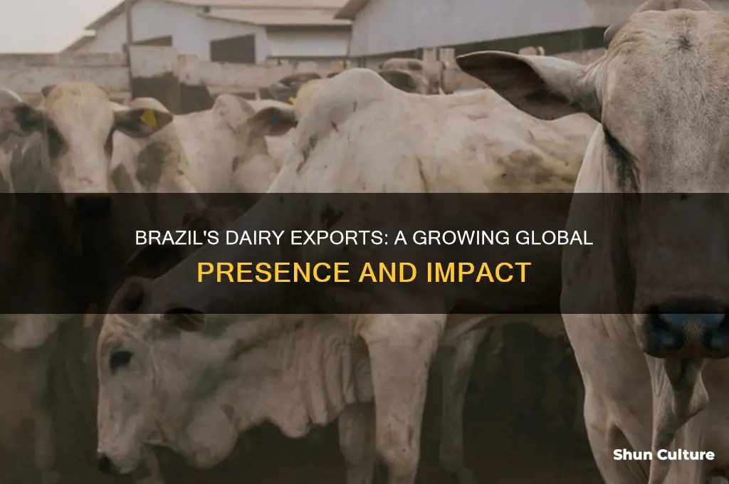 does brazil export dairy